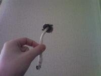 post-3715-1303401444,2079_thumb.jpg
