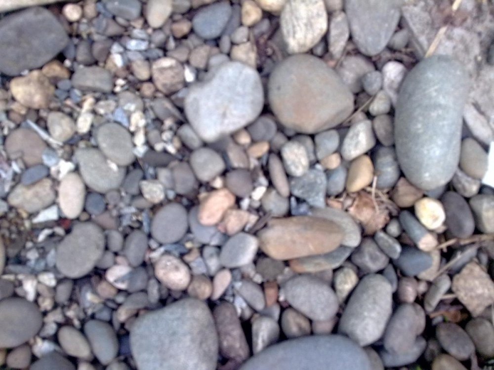post-11375-0-50080300-1334124965_thumb.jpg