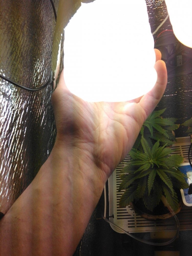 post-26086-0-00138100-1428746610_thumb.jpg