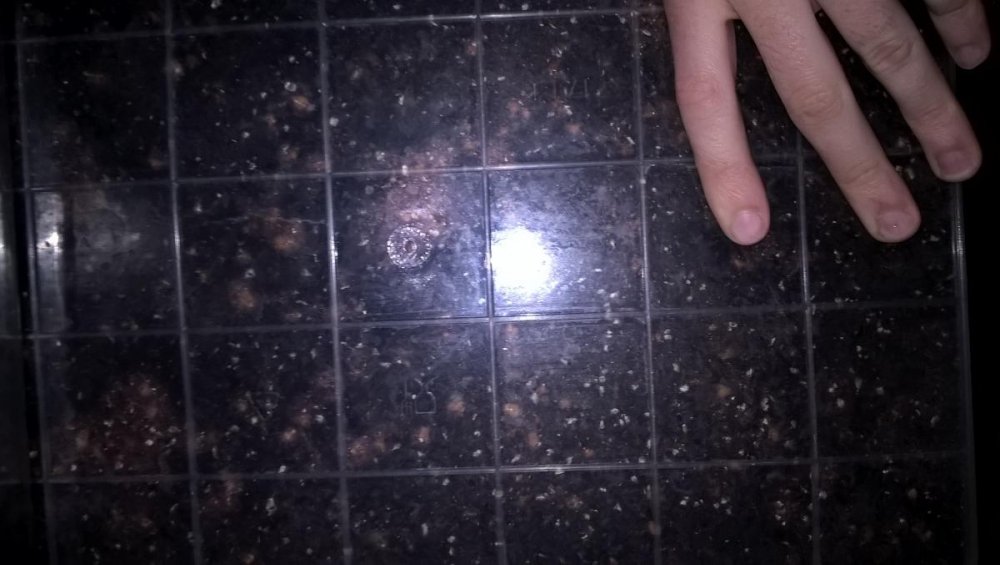 post-33428-0-33847300-1461671722_thumb.jpg