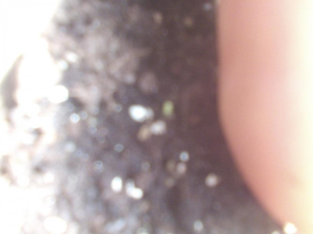 post-34917-0-91128000-1461131723_thumb.jpg