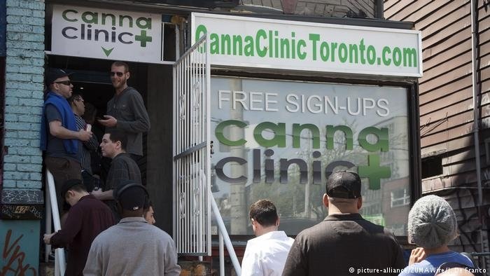 cannabis_canada.jpg