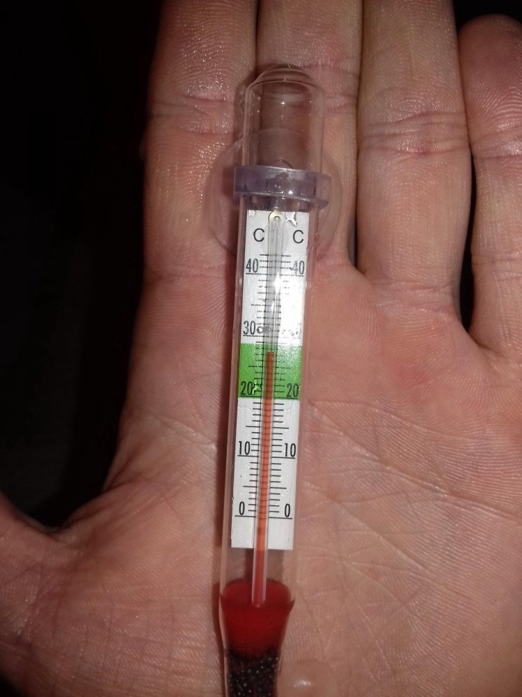 post-27167-0-29745600-1493569904_thumb.jpg
