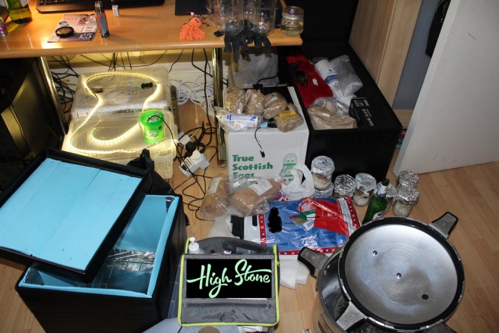 post-40014-0-24989500-1492192530_thumb.jpg