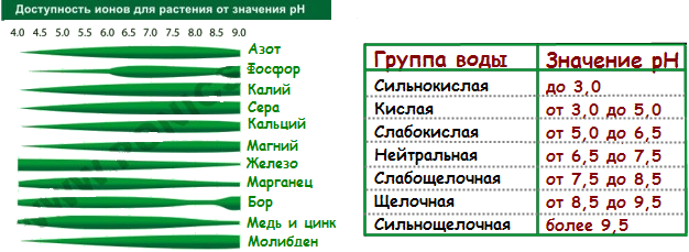 post-41937-0-99838000-1493300847_thumb.png