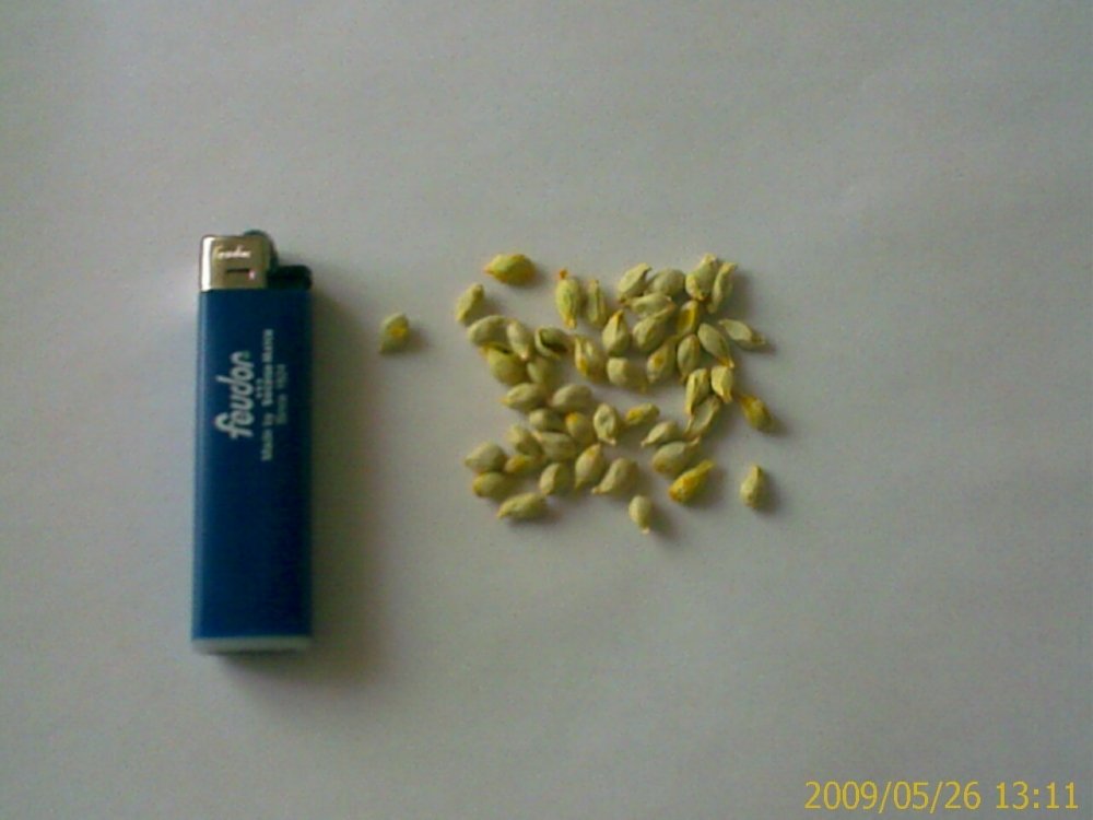 post-248-1243311659_thumb.jpg