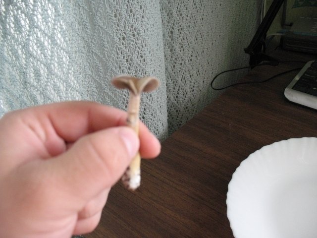 post-10448-0-06191600-1337159488_thumb.jpg
