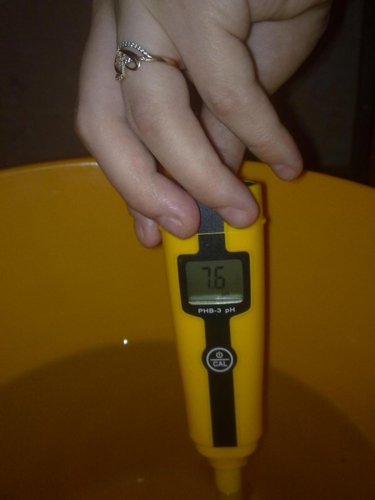 post-11581-0-68520400-1337950357_thumb.jpg
