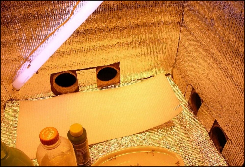 post-11742-0-15239400-1337689452_thumb.jpg