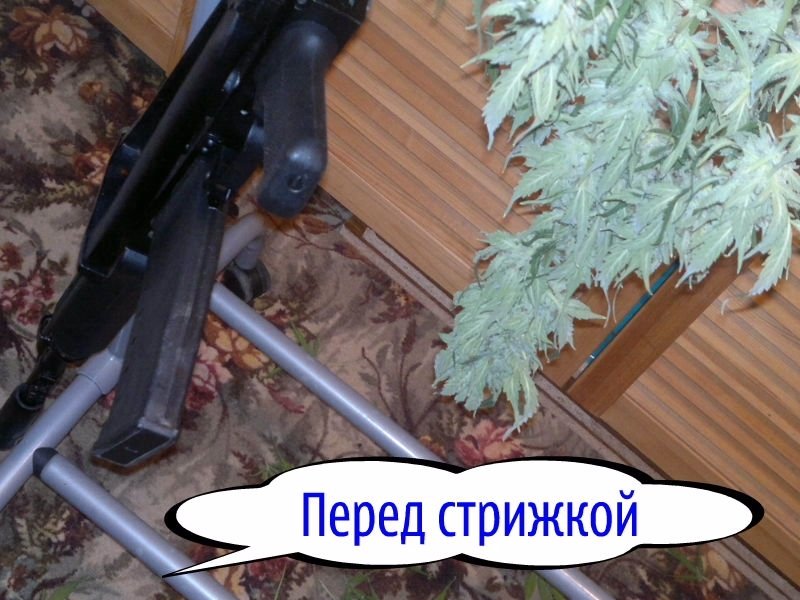 post-2568-0-52355900-1337567390_thumb.jpg
