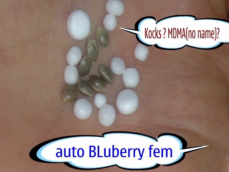post-2568-0-72829300-1336174163_thumb.jpg