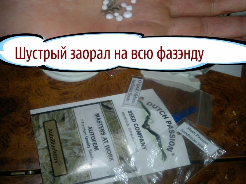 post-2568-0-73476000-1336174205_thumb.jpg
