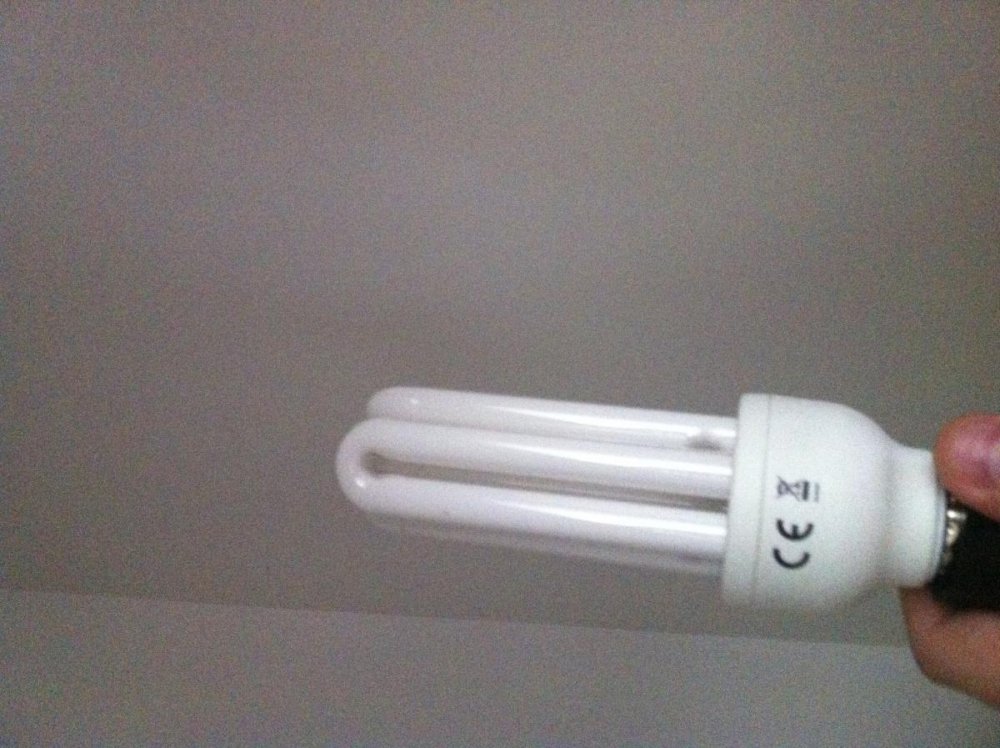 post-15881-0-32463200-1368451669_thumb.jpg