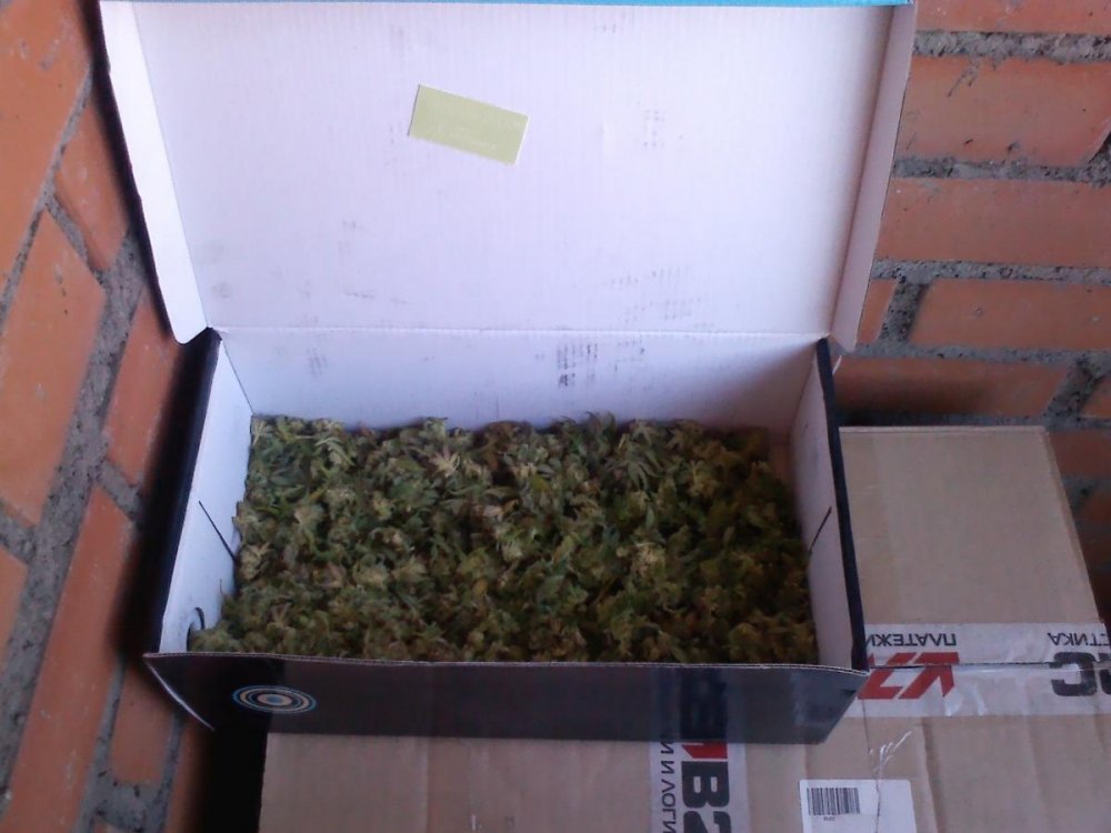 post-13697-0-78171800-1399462416_thumb.jpg