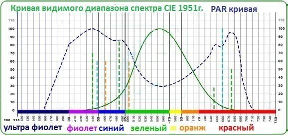 post-20884-0-04146600-1400440095_thumb.jpg