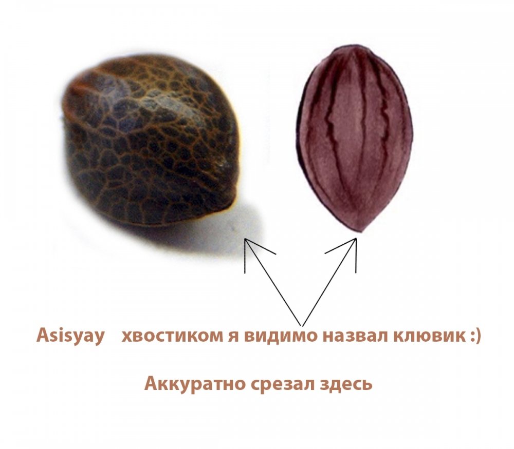 post-21304-0-50915000-1401539750_thumb.jpg