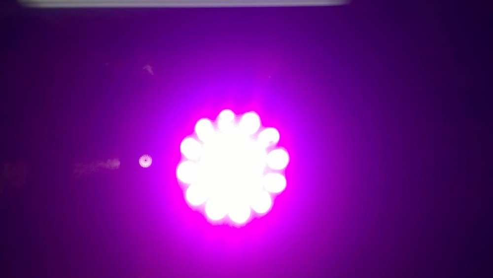 post-21328-0-83418400-1399964273_thumb.jpg