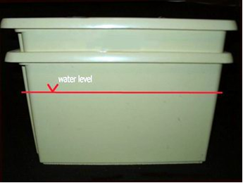 post-11910-0-68384600-1432971722_thumb.png