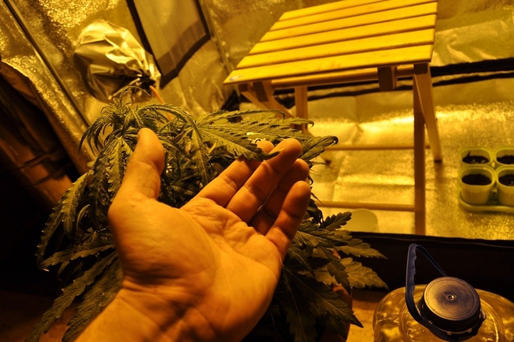 post-23437-0-18324300-1430855959_thumb.jpg