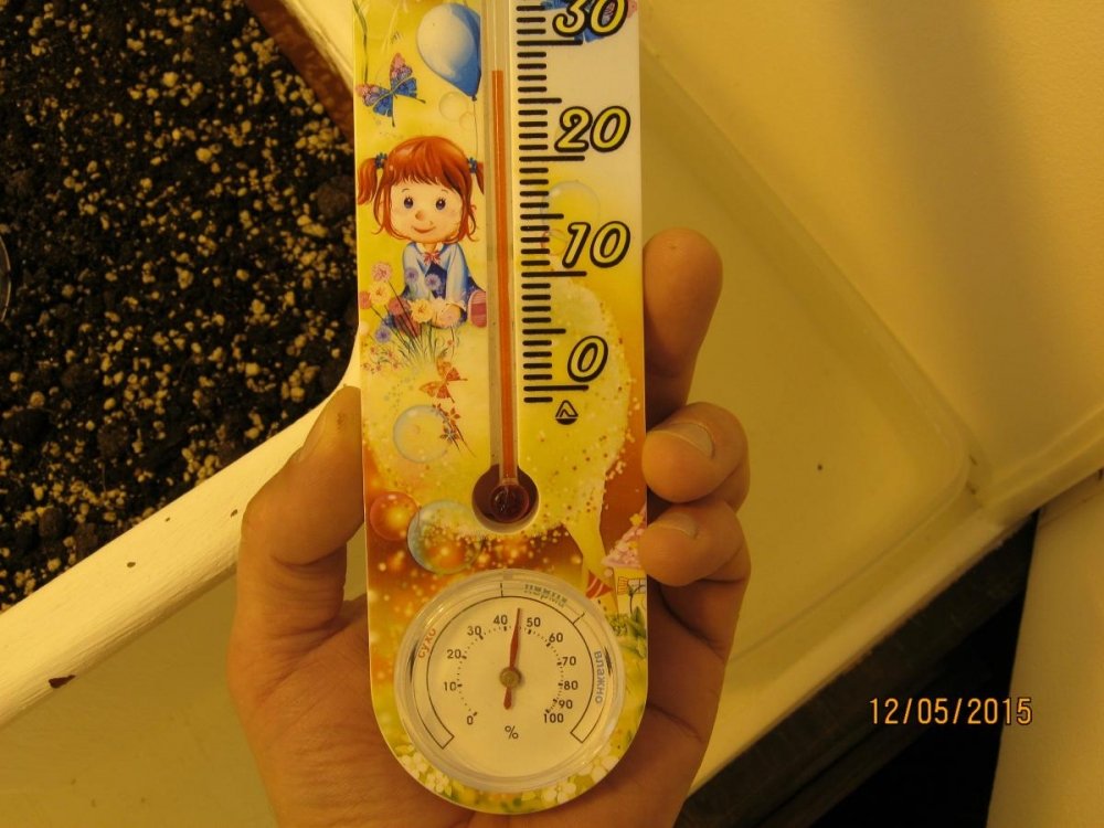 post-26252-0-29182800-1431445656_thumb.jpg
