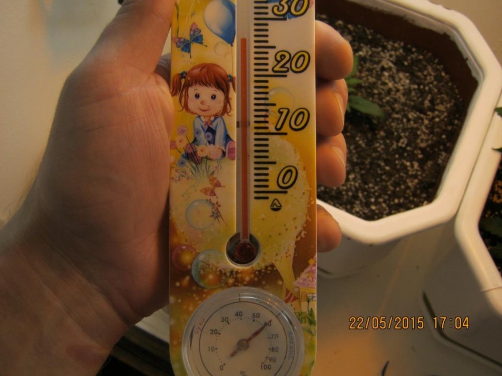 post-26252-0-90614300-1432304751_thumb.jpg