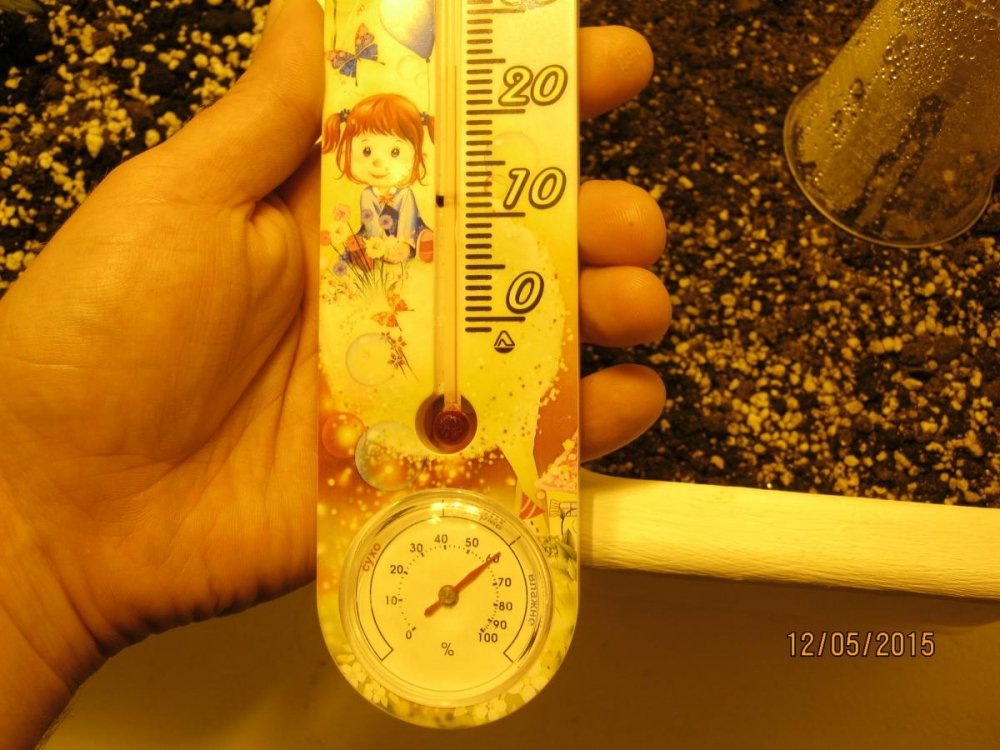 post-26252-0-90983500-1431423869_thumb.jpg