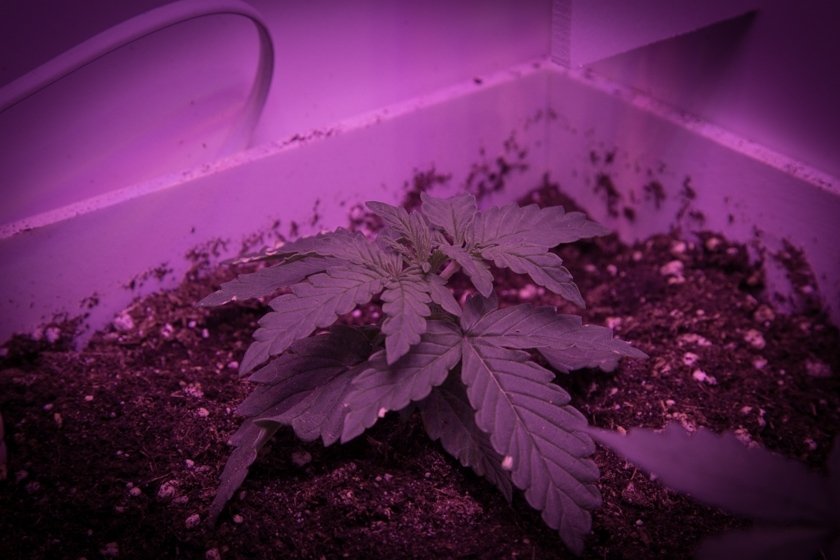 post-27360-0-16094800-1432851536_thumb.jpg