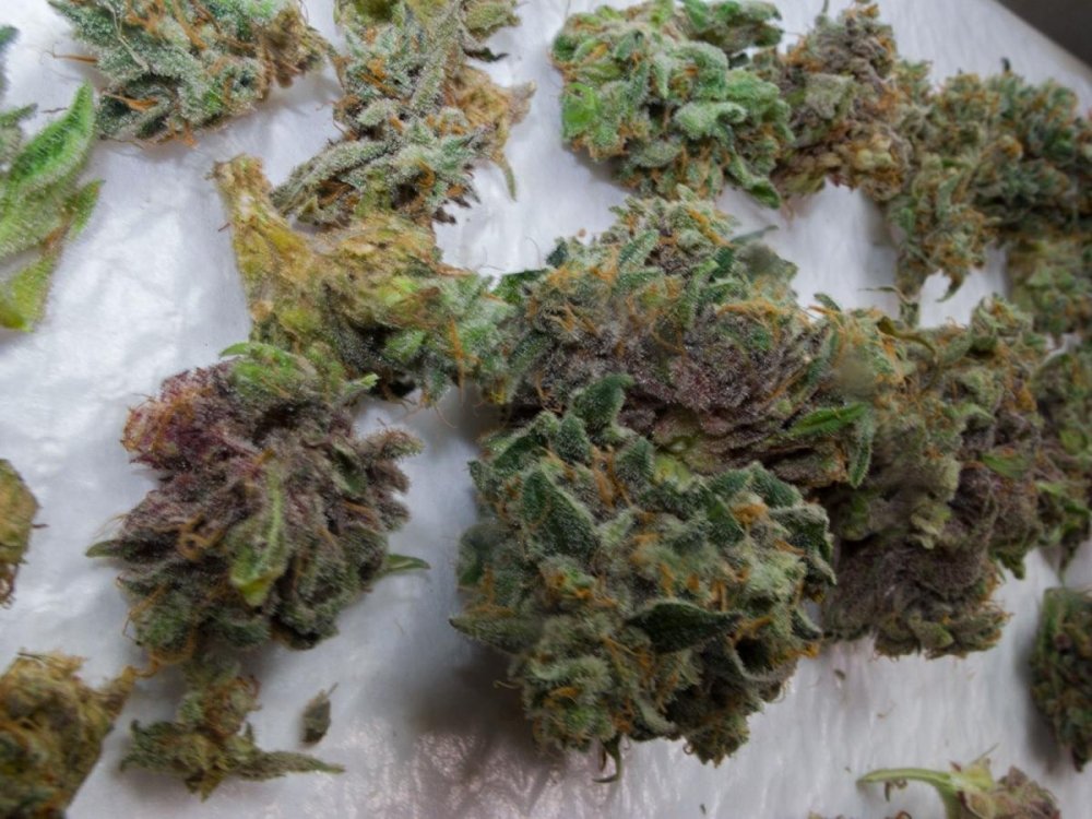post-17704-0-76360200-1463666052_thumb.jpg