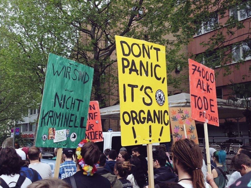 germany marijuana march16.jpg