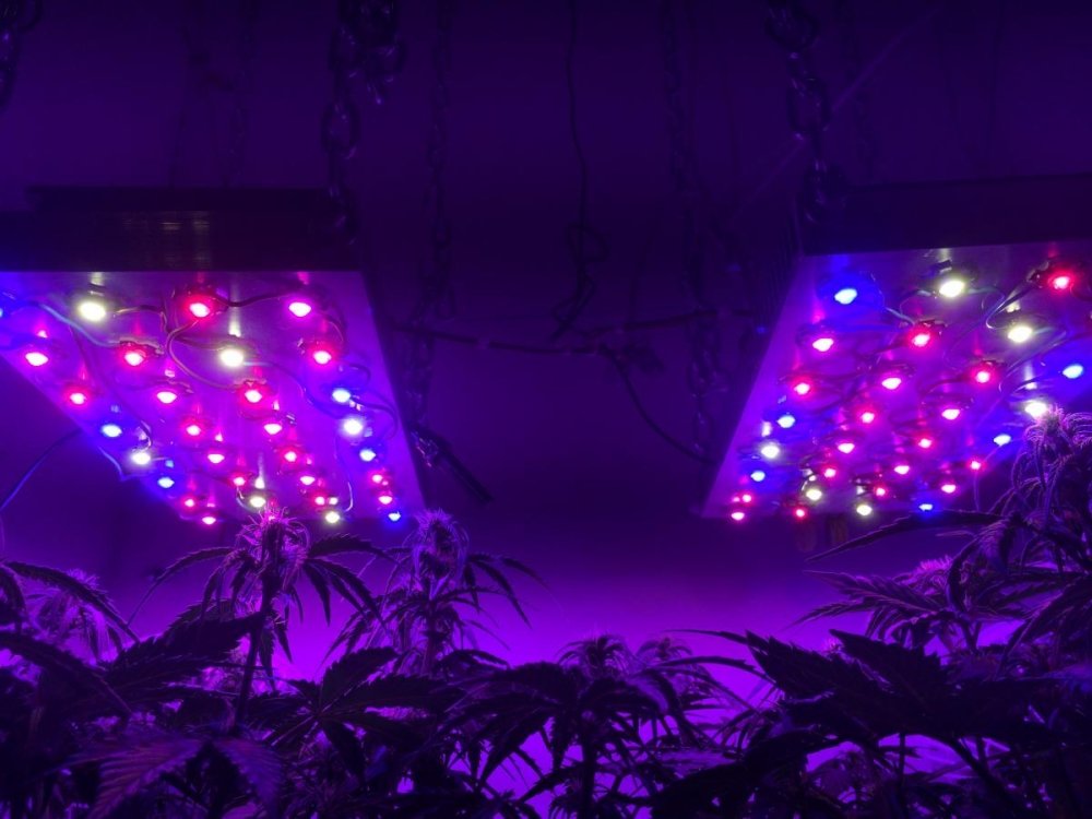 post-21026-0-80843700-1495231691_thumb.jpg