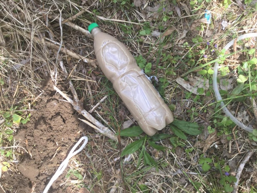 post-32775-0-54501200-1494243827_thumb.jpg