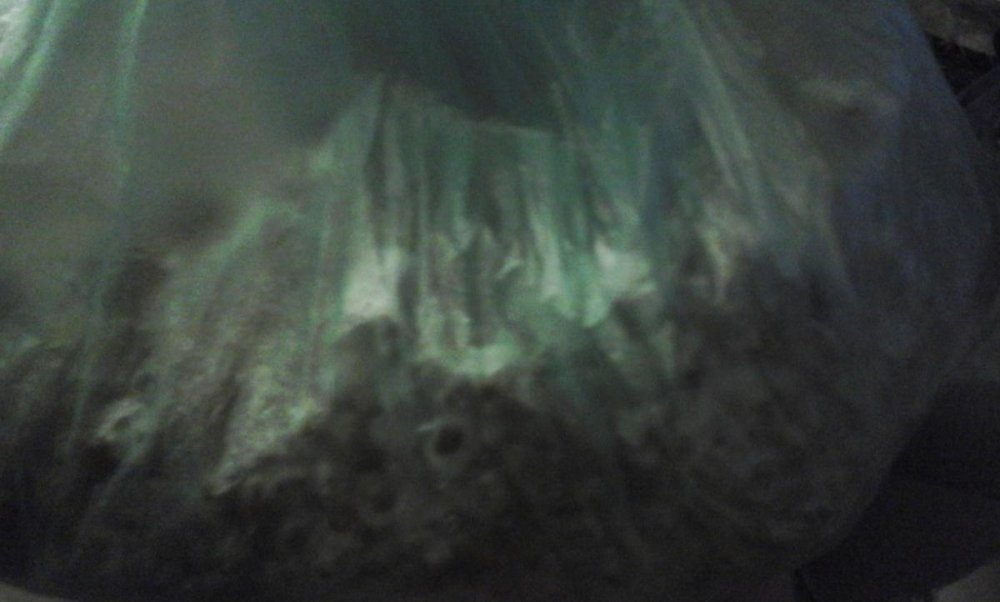 post-41971-0-70784800-1495823743_thumb.jpg