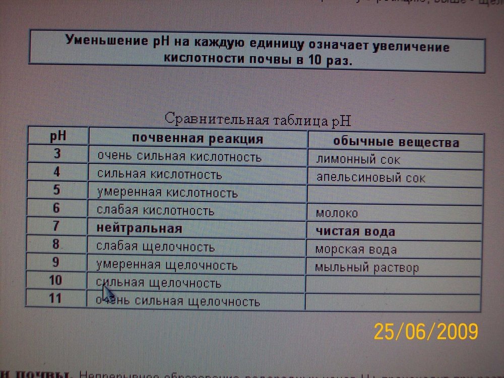 post-190-1245941269_thumb.jpg