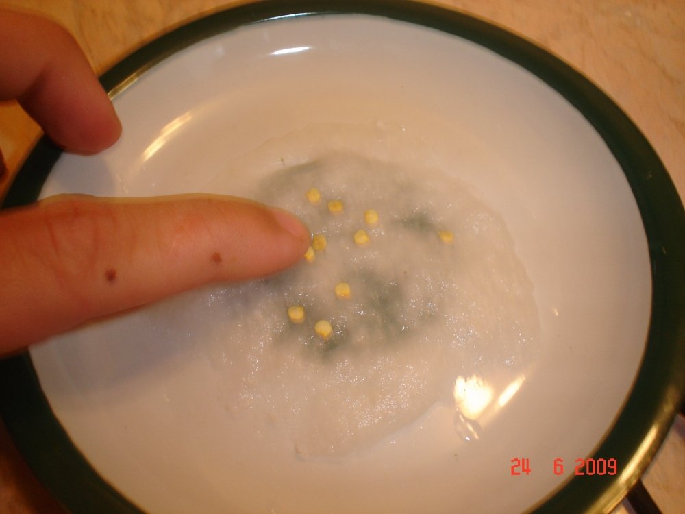 post-248-1246088507_thumb.jpg