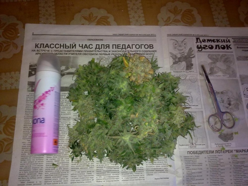 post-11581-0-97860100-1340285798_thumb.jpg