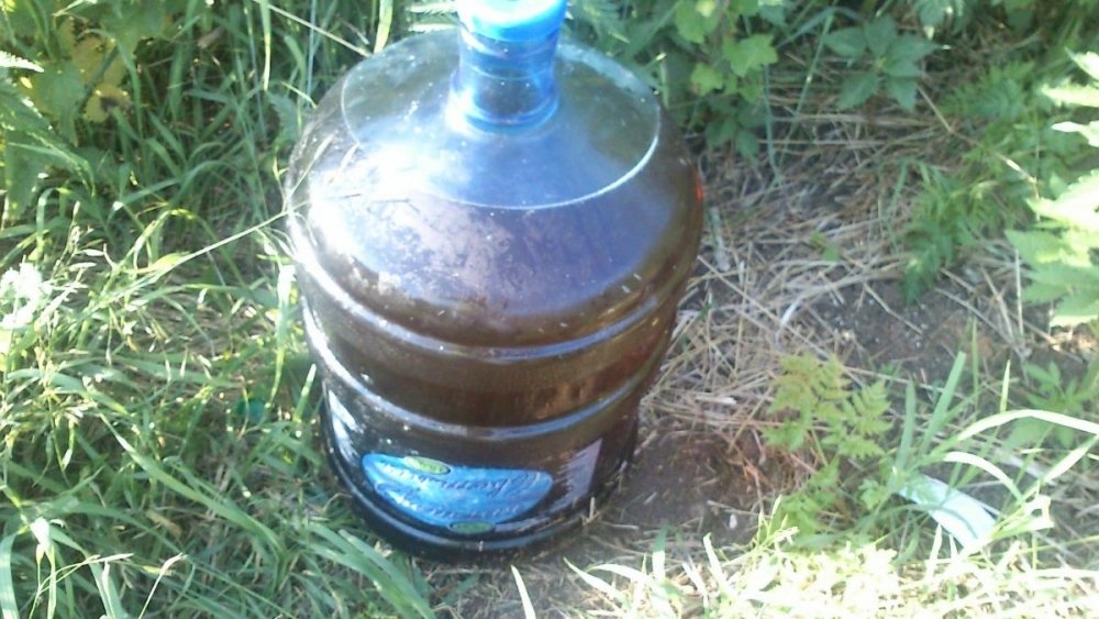 post-12291-0-40680200-1371535623_thumb.jpg