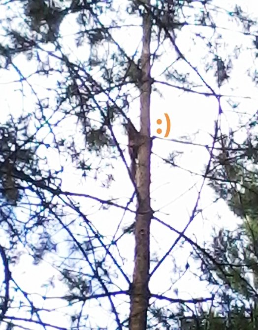 post-21304-0-13471600-1403524790_thumb.jpg