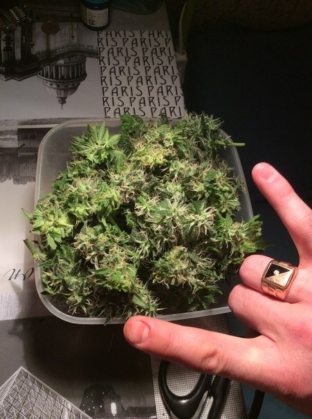 post-20895-0-97779800-1433653829_thumb.jpg