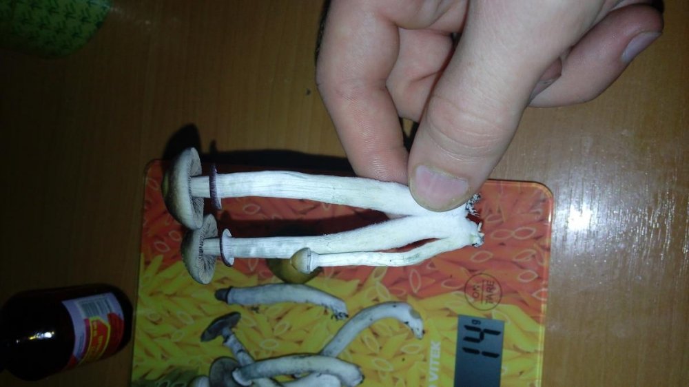post-25535-0-43041200-1434277358_thumb.jpg