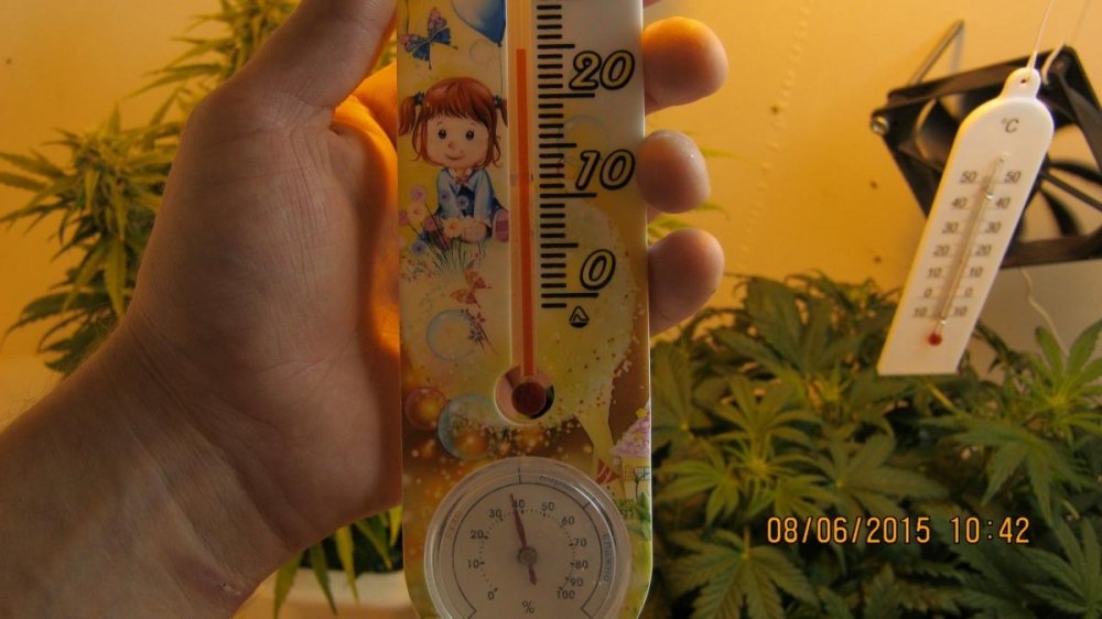 post-26252-0-88306000-1433750015_thumb.jpg