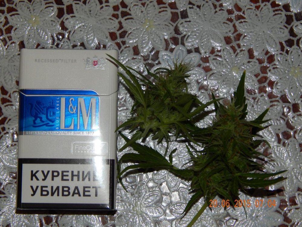 post-26252-0-90520100-1434774212_thumb.jpg