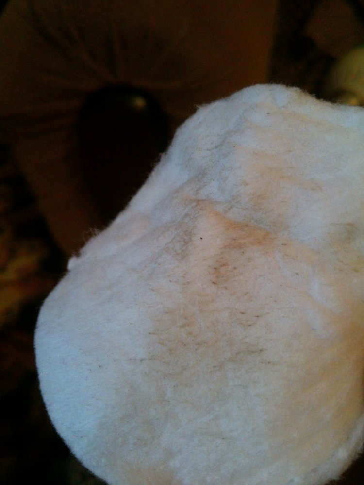 post-27321-0-31500100-1435606645_thumb.jpg
