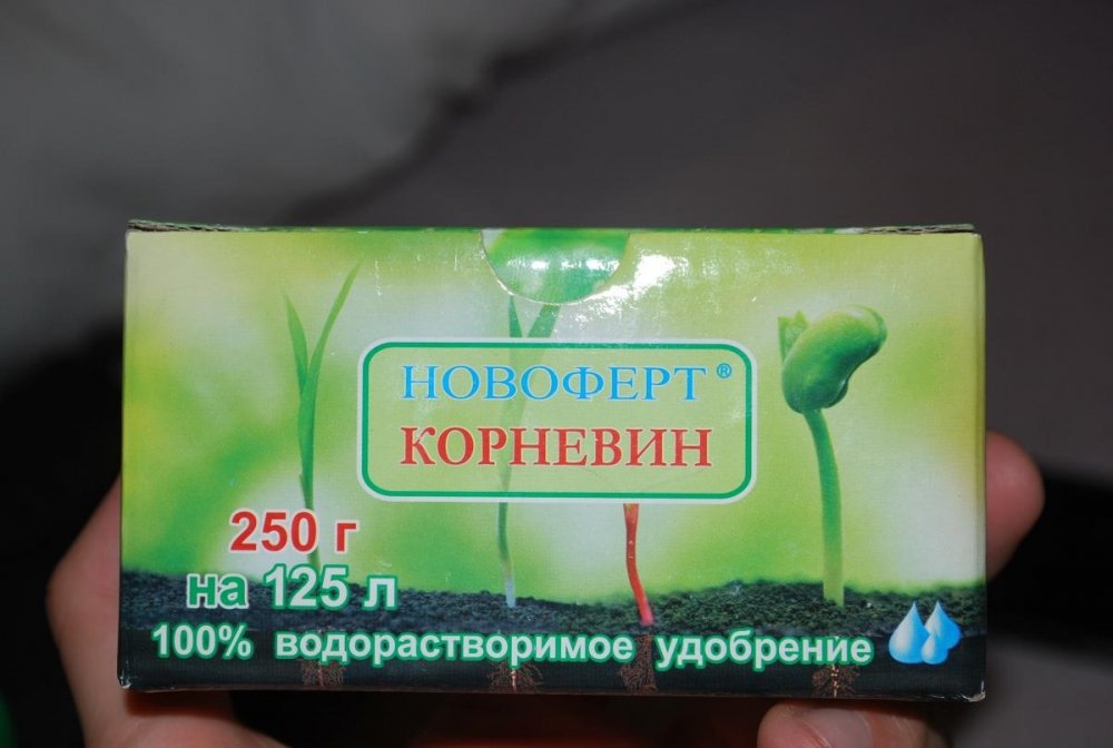post-28147-0-87697900-1433792374_thumb.jpg