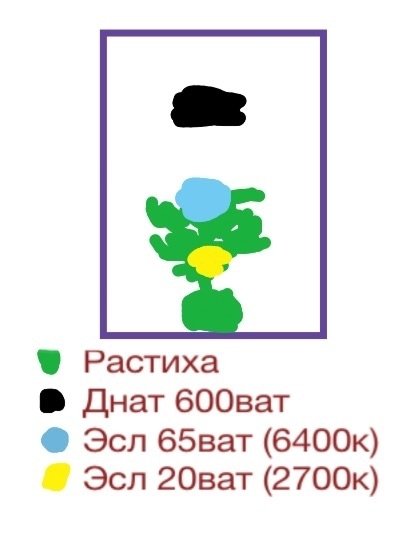 post-28357-0-29374600-1434388109_thumb.jpg