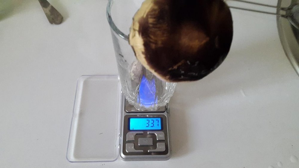 post-15525-0-50596400-1465825729_thumb.jpg