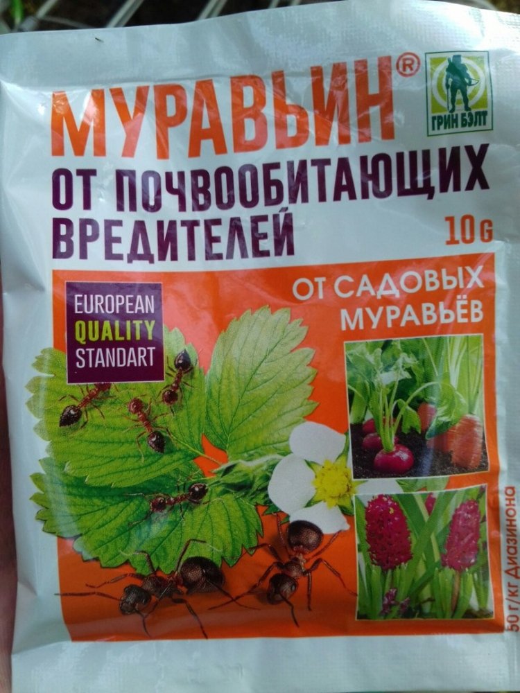 post-27167-0-04618900-1466535688_thumb.jpg