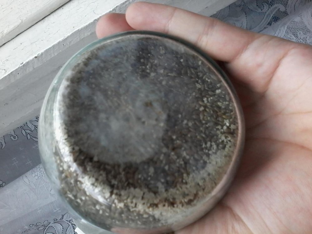 post-35394-0-85811600-1466150150_thumb.jpg