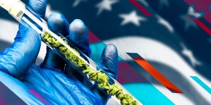 cannabis1.jpg