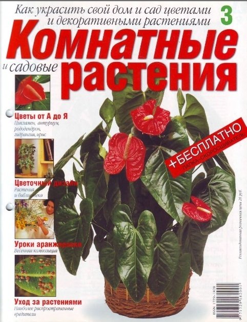 post-248-1246460227_thumb.jpg