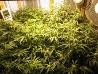post-997-1311546543,5647_thumb.jpg